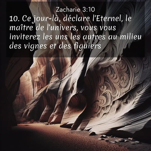 Segond21 Zacharie  ; image nature: image avec le verset biblique :Ce jour-là, déclare l&#039;Eternel, le maître de l&#039;univers, vous vous inviterez les uns les autres au milieu des vignes et des figuiers.» ;  ; 3:10