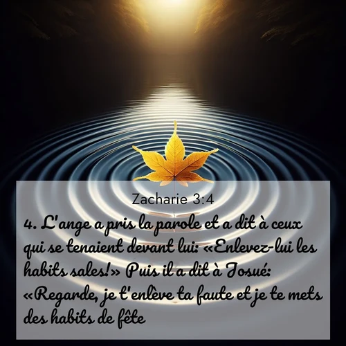 Segond21 Zacharie  ; image nature: image avec le verset biblique :L&#039;ange a pris la parole et a dit à ceux qui se tenaient devant lui: «Enlevez-lui les habits sales!» Puis il a dit à Josué: «Regarde, je t&#039;enlève ta faute et je te mets des habits de fête.» ;  ; 3:4