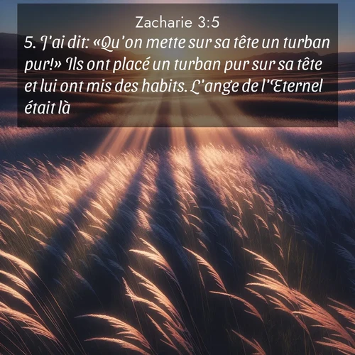 Segond21 Zacharie  ; image nature: image avec le verset biblique :J&#039;ai dit: «Qu&#039;on mette sur sa tête un turban pur!» Ils ont placé un turban pur sur sa tête et lui ont mis des habits. L&#039;ange de l&#039;Eternel était là. ;  ; 3:5