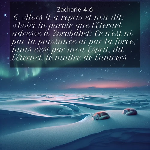 Segond21 Zacharie  ; image nature: image avec le verset biblique :Alors il a repris et m&#039;a dit: «Voici la parole que l&#039;Eternel adresse à Zorobabel: Ce n&#039;est ni par la puissance ni par la force, mais c&#039;est par mon Esprit, dit l&#039;Eternel, le maître de l&#039;univers. ;  ; 4:6