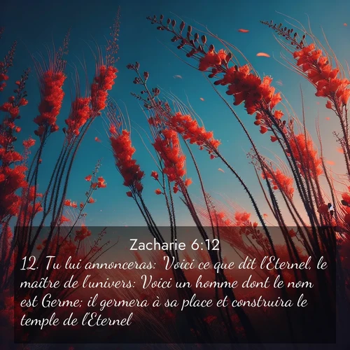 Segond21 Zacharie  ; image nature: image avec le verset biblique :Tu lui annonceras: &#039;Voici ce que dit l&#039;Eternel, le maître de l&#039;univers: Voici un homme dont le nom est Germe; il germera à sa place et construira le temple de l&#039;Eternel. ;  ; 6:12