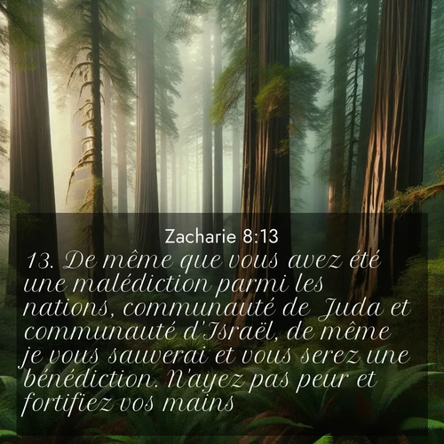 Segond21 Zacharie  ; image nature: image avec le verset biblique :De même que vous avez été une malédiction parmi les nations, communauté de Juda et communauté d&#039;Israël, de même je vous sauverai et vous serez une bénédiction. N&#039;ayez pas peur et fortifiez vos mains! ;  ; 8:13