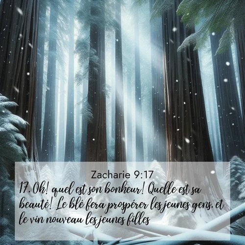 Segond21 Zacharie  ; image nature: image avec le verset biblique :Oh! quel est son bonheur! Quelle est sa beauté! Le blé fera prospérer les jeunes gens, et le vin nouveau les jeunes filles. ;  ; 9:17
