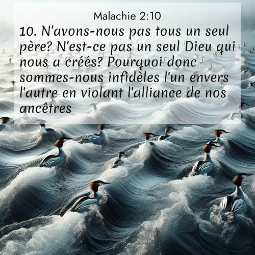 Segond21 Malachie  ; image nature: image avec le verset biblique :N&#039;avons-nous pas tous un seul père? N&#039;est-ce pas un seul Dieu qui nous a créés? Pourquoi donc sommes-nous infidèles l&#039;un envers l&#039;autre en violant l&#039;alliance de nos ancêtres? ;  ; 2:10
