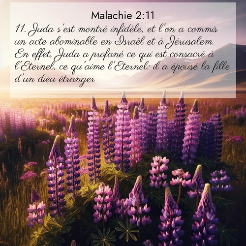 Segond21 Malachie  ; image nature: image avec le verset biblique :Juda s&#039;est montré infidèle, et l&#039;on a commis un acte abominable en Israël et à Jérusalem. En effet, Juda a profané ce qui est consacré à l&#039;Eternel, ce qu&#039;aime l&#039;Eternel: il a épousé la fille d&#039;un dieu étranger. ;  ; 2:11