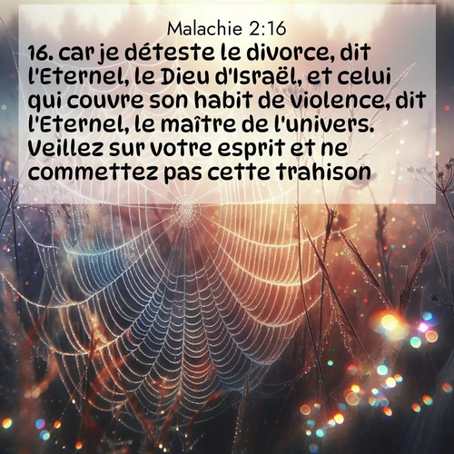 Segond21 Malachie  ; image nature: image avec le verset biblique :car je déteste le divorce, dit l&#039;Eternel, le Dieu d&#039;Israël, et celui qui couvre son habit de violence, dit l&#039;Eternel, le maître de l&#039;univers. Veillez sur votre esprit et ne commettez pas cette trahison! ;  ; 2:16