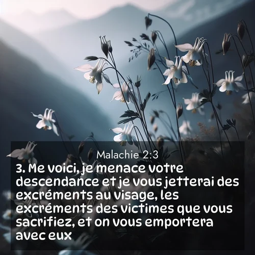 Segond21 Malachie  ; image nature: image avec le verset biblique :Me voici, je menace votre descendance et je vous jetterai des excréments au visage, les excréments des victimes que vous sacrifiez, et on vous emportera avec eux. ;  ; 2:3