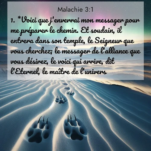 Segond21 Malachie  ; image nature: image avec le verset biblique :*Voici que j&#039;enverrai mon messager pour me préparer le chemin. Et soudain, il entrera dans son temple, le Seigneur que vous cherchez; le messager de l&#039;alliance que vous désirez, le voici qui arrive, dit l&#039;Eternel, le maître de l&#039;univers. ;  ; 3:1