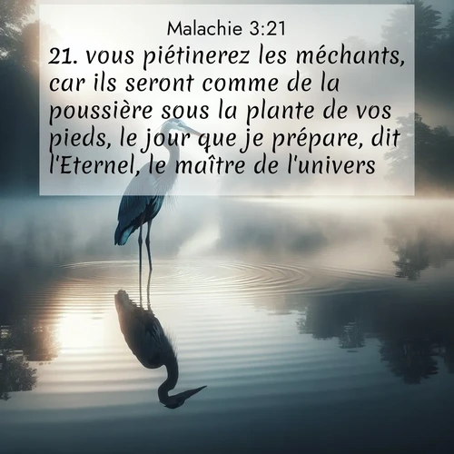 Segond21 Malachie  ; image nature: image avec le verset biblique :vous piétinerez les méchants, car ils seront comme de la poussière sous la plante de vos pieds, le jour que je prépare, dit l&#039;Eternel, le maître de l&#039;univers. ;  ; 3:21