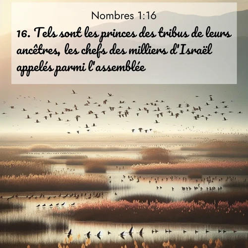 Segond21 Nombres  ; image nature: image avec le verset biblique :Tels sont les princes des tribus de leurs ancêtres, les chefs des milliers d&#039;Israël appelés parmi l&#039;assemblée.» ;  ; 1:16