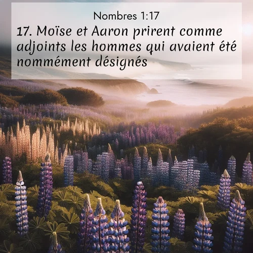 Segond21 Nombres  ; image nature: image avec le verset biblique :Moïse et Aaron prirent comme adjoints les hommes qui avaient été nommément désignés, ;  ; 1:17