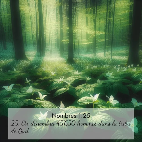 Segond21 Nombres  ; image nature: image avec le verset biblique :On dénombra 45&#039;650 hommes dans la tribu de Gad. ;  ; 1:25