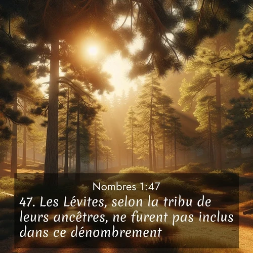 Segond21 Nombres  ; image nature: image avec le verset biblique :Les Lévites, selon la tribu de leurs ancêtres, ne furent pas inclus dans ce dénombrement. ;  ; 1:47
