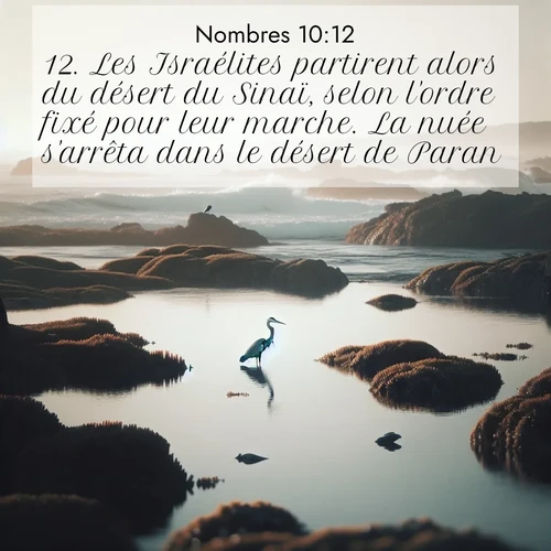 Segond21 Nombres  ; image nature: image avec le verset biblique :Les Israélites partirent alors du désert du Sinaï, selon l&#039;ordre fixé pour leur marche. La nuée s&#039;arrêta dans le désert de Paran. ;  ; 10:12