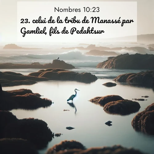 Segond21 Nombres  ; image nature: image avec le verset biblique :celui de la tribu de Manassé par Gamliel, fils de Pedahtsur, ;  ; 10:23