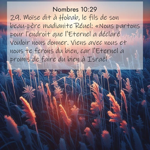 Segond21 Nombres  ; image nature: image avec le verset biblique :Moïse dit à Hobab, le fils de son beau-père madianite Réuel: «Nous partons pour l&#039;endroit que l&#039;Eternel a déclaré vouloir nous donner. Viens avec nous et nous te ferons du bien, car l&#039;Eternel a promis de faire du bien à Israël.» ;  ; 10:29