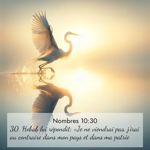 Segond21 Nombres  ; image nature: image avec le verset biblique :Hobab lui répondit: «Je ne viendrai pas, j&#039;irai au contraire dans mon pays et dans ma patrie.» ;  ; 10:30