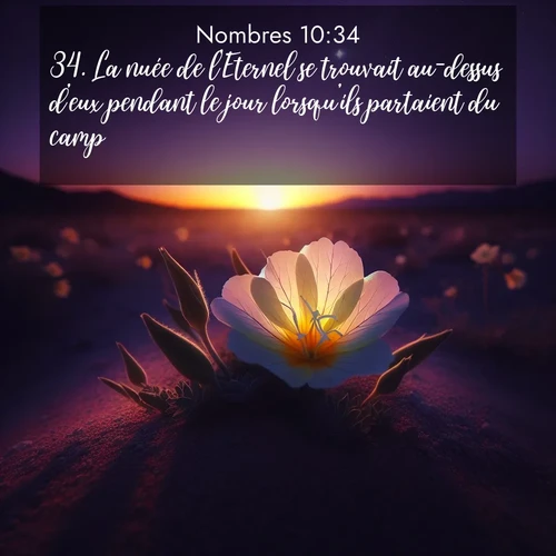 Segond21 Nombres  ; image nature: image avec le verset biblique :La nuée de l&#039;Eternel se trouvait au-dessus d&#039;eux pendant le jour lorsqu&#039;ils partaient du camp. ;  ; 10:34