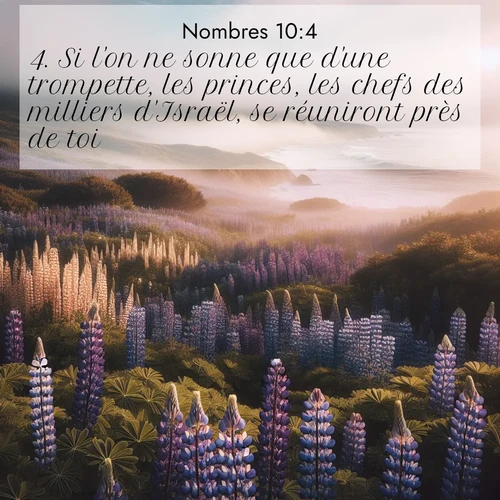 Segond21 Nombres  ; image nature: image avec le verset biblique :Si l&#039;on ne sonne que d&#039;une trompette, les princes, les chefs des milliers d&#039;Israël, se réuniront près de toi. ;  ; 10:4