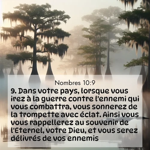 Segond21 Nombres  ; image nature: image avec le verset biblique :Dans votre pays, lorsque vous irez à la guerre contre l&#039;ennemi qui vous combattra, vous sonnerez de la trompette avec éclat. Ainsi vous vous rappellerez au souvenir de l&#039;Eternel, votre Dieu, et vous serez délivrés de vos ennemis. ;  ; 10:9