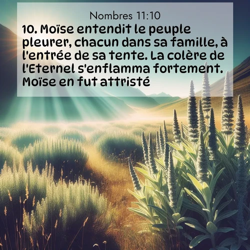 Segond21 Nombres  ; image nature: image avec le verset biblique :Moïse entendit le peuple pleurer, chacun dans sa famille, à l&#039;entrée de sa tente. La colère de l&#039;Eternel s&#039;enflamma fortement. Moïse en fut attristé, ;  ; 11:10