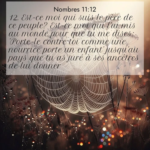 Segond21 Nombres  ; image nature: image avec le verset biblique :Est-ce moi qui suis le père de ce peuple? Est-ce moi qui l&#039;ai mis au monde pour que tu me dises: &#039;Porte-le contre toi comme une nourrice porte un enfant&#039; jusqu&#039;au pays que tu as juré à ses ancêtres de lui donner? ;  ; 11:12
