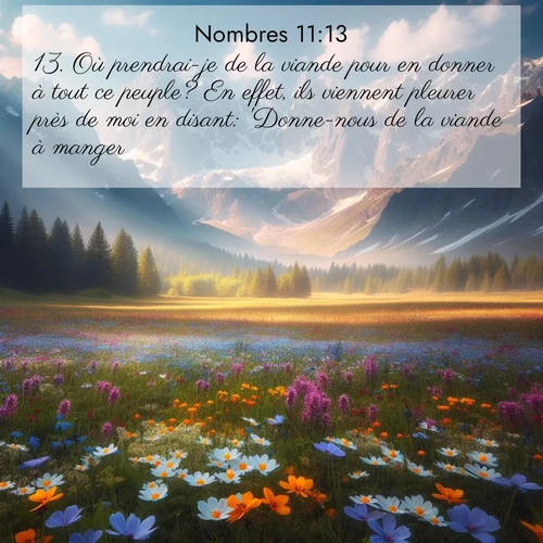 Segond21 Nombres  ; image nature: image avec le verset biblique :Où prendrai-je de la viande pour en donner à tout ce peuple? En effet, ils viennent pleurer près de moi en disant: &#039;Donne-nous de la viande à manger!&#039; ;  ; 11:13