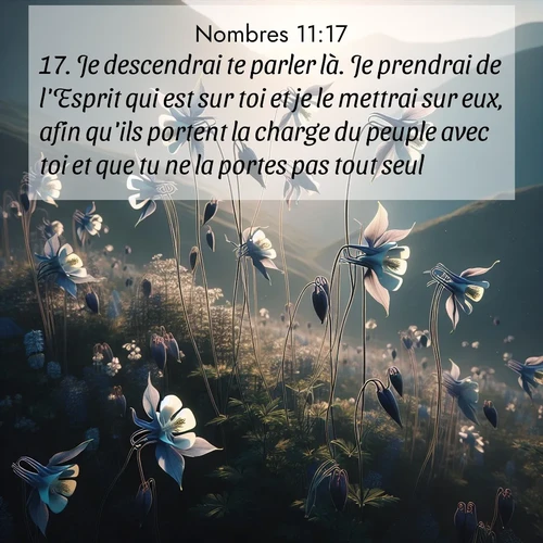 Segond21 Nombres  ; image nature: image avec le verset biblique :Je descendrai te parler là. Je prendrai de l&#039;Esprit qui est sur toi et je le mettrai sur eux, afin qu&#039;ils portent la charge du peuple avec toi et que tu ne la portes pas tout seul. ;  ; 11:17