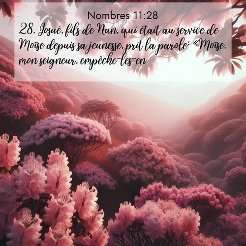 Segond21 Nombres  ; image nature: image avec le verset biblique :Josué, fils de Nun, qui était au service de Moïse depuis sa jeunesse, prit la parole: «Moïse, mon seigneur, empêche-les-en!» ;  ; 11:28