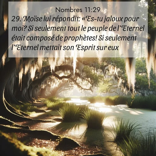 Segond21 Nombres  ; image nature: image avec le verset biblique :Moïse lui répondit: «Es-tu jaloux pour moi? Si seulement tout le peuple de l&#039;Eternel était composé de prophètes! Si seulement l&#039;Eternel mettait son Esprit sur eux!» ;  ; 11:29