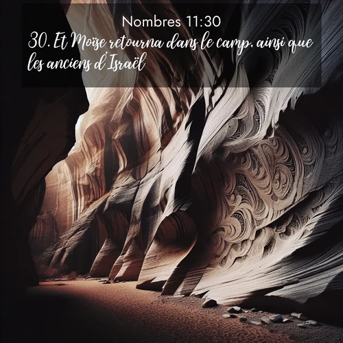 Segond21 Nombres  ; image nature: image avec le verset biblique :Et Moïse retourna dans le camp, ainsi que les anciens d&#039;Israël. ;  ; 11:30