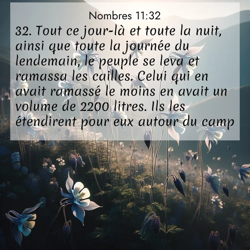 Segond21 Nombres  ; image nature: image avec le verset biblique :Tout ce jour-là et toute la nuit, ainsi que toute la journée du lendemain, le peuple se leva et ramassa les cailles. Celui qui en avait ramassé le moins en avait un volume de 2200 litres. Ils les étendirent pour eux autour du camp. ;  ; 11:32