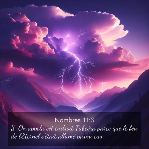 Segond21 Nombres  ; image nature: image avec le verset biblique :On appela cet endroit Tabeéra parce que le feu de l&#039;Eternel s&#039;était allumé parmi eux. ;  ; 11:3