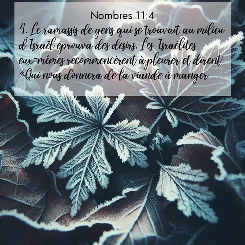 Segond21 Nombres  ; image nature: image avec le verset biblique :Le ramassis de gens qui se trouvait au milieu d&#039;Israël éprouva des désirs. Les Israélites eux-mêmes recommencèrent à pleurer et dirent: «Qui nous donnera de la viande à manger? ;  ; 11:4