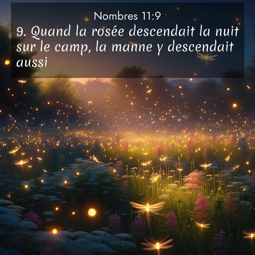 Segond21 Nombres  ; image nature: image avec le verset biblique :Quand la rosée descendait la nuit sur le camp, la manne y descendait aussi. ;  ; 11:9