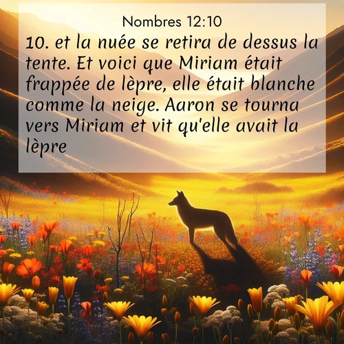 image nature avec verset biblique de la Bible