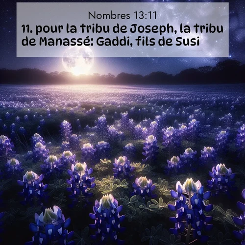 Segond21 Nombres  ; image nature: image avec le verset biblique :pour la tribu de Joseph, la tribu de Manassé: Gaddi, fils de Susi; ;  ; 13:11