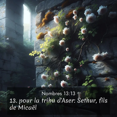 Segond21 Nombres  ; image nature: image avec le verset biblique :pour la tribu d&#039;Aser: Sethur, fils de Micaël; ;  ; 13:13