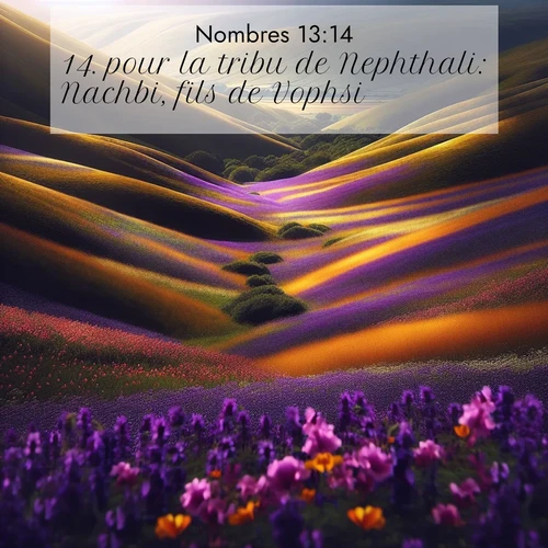 Segond21 Nombres  ; image nature: image avec le verset biblique :pour la tribu de Nephthali: Nachbi, fils de Vophsi; ;  ; 13:14