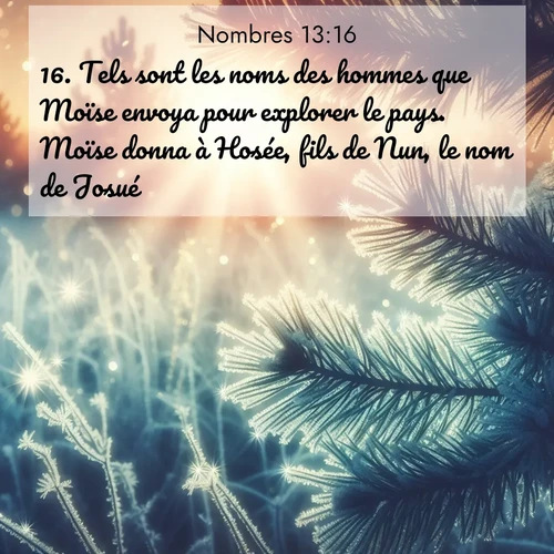 Segond21 Nombres  ; image nature: image avec le verset biblique :Tels sont les noms des hommes que Moïse envoya pour explorer le pays. Moïse donna à Hosée, fils de Nun, le nom de Josué. ;  ; 13:16