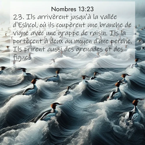 Segond21 Nombres  ; image nature: image avec le verset biblique :Ils arrivèrent jusqu&#039;à la vallée d&#039;Eshcol, où ils coupèrent une branche de vigne avec une grappe de raisin. Ils la portèrent à deux au moyen d&#039;une perche. Ils prirent aussi des grenades et des figues. ;  ; 13:23