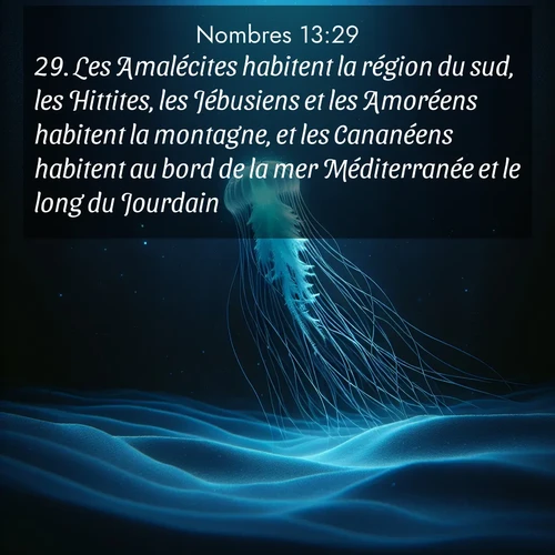 Segond21 Nombres  ; image nature: image avec le verset biblique :Les Amalécites habitent la région du sud, les Hittites, les Jébusiens et les Amoréens habitent la montagne, et les Cananéens habitent au bord de la mer Méditerranée et le long du Jourdain.» ;  ; 13:29