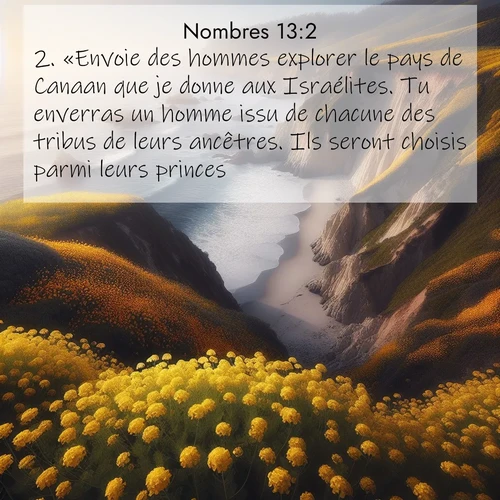 Segond21 Nombres  ; image nature: image avec le verset biblique :«Envoie des hommes explorer le pays de Canaan que je donne aux Israélites. Tu enverras un homme issu de chacune des tribus de leurs ancêtres. Ils seront choisis parmi leurs princes.» ;  ; 13:2