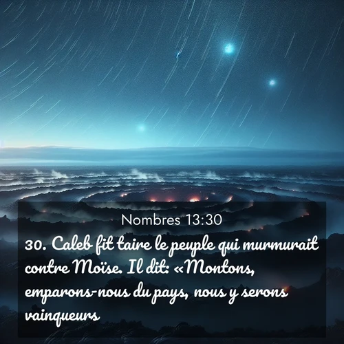 Segond21 Nombres  ; image nature: image avec le verset biblique :Caleb fit taire le peuple qui murmurait contre Moïse. Il dit: «Montons, emparons-nous du pays, nous y serons vainqueurs!» ;  ; 13:30