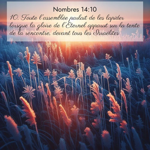 Segond21 Nombres  ; image nature: image avec le verset biblique :Toute l&#039;assemblée parlait de les lapider lorsque la gloire de l&#039;Eternel apparut sur la tente de la rencontre, devant tous les Israélites. ;  ; 14:10