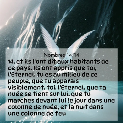 Segond21 Nombres  ; image nature: image avec le verset biblique :et ils l&#039;ont dit aux habitants de ce pays. Ils ont appris que toi, l&#039;Eternel, tu es au milieu de ce peuple, que tu apparais visiblement, toi, l&#039;Eternel, que ta nuée se tient sur lui, que tu marches devant lui le jour dans une colonne de nuée, et la nuit dans une colonne de feu. ;  ; 14:14