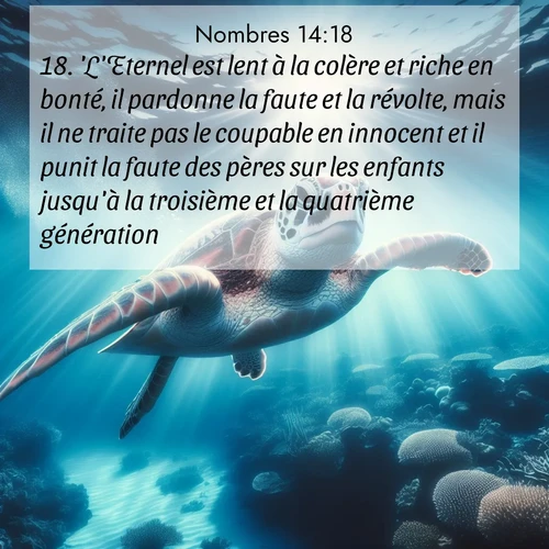 Segond21 Nombres  ; image nature: image avec le verset biblique :&#039;L&#039;Eternel est lent à la colère et riche en bonté, il pardonne la faute et la révolte, mais il ne traite pas le coupable en innocent et il punit la faute des pères sur les enfants jusqu&#039;à la troisième et la quatrième génération.&#039; ;  ; 14:18