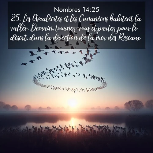 Segond21 Nombres  ; image nature: image avec le verset biblique :Les Amalécites et les Cananéens habitent la vallée. Demain, tournez-vous et partez pour le désert, dans la direction de la mer des Roseaux.» ;  ; 14:25