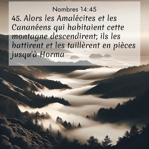 Segond21 Nombres  ; image nature: image avec le verset biblique :Alors les Amalécites et les Cananéens qui habitaient cette montagne descendirent; ils les battirent et les taillèrent en pièces jusqu&#039;à Horma. ;  ; 14:45