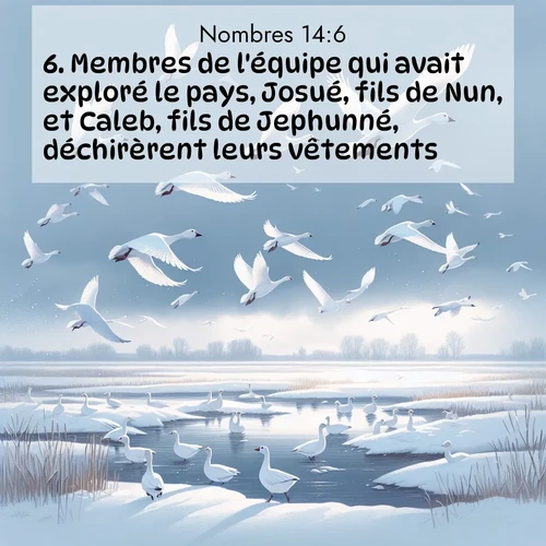 Segond21 Nombres  ; image nature: image avec le verset biblique :Membres de l&#039;équipe qui avait exploré le pays, Josué, fils de Nun, et Caleb, fils de Jephunné, déchirèrent leurs vêtements ;  ; 14:6